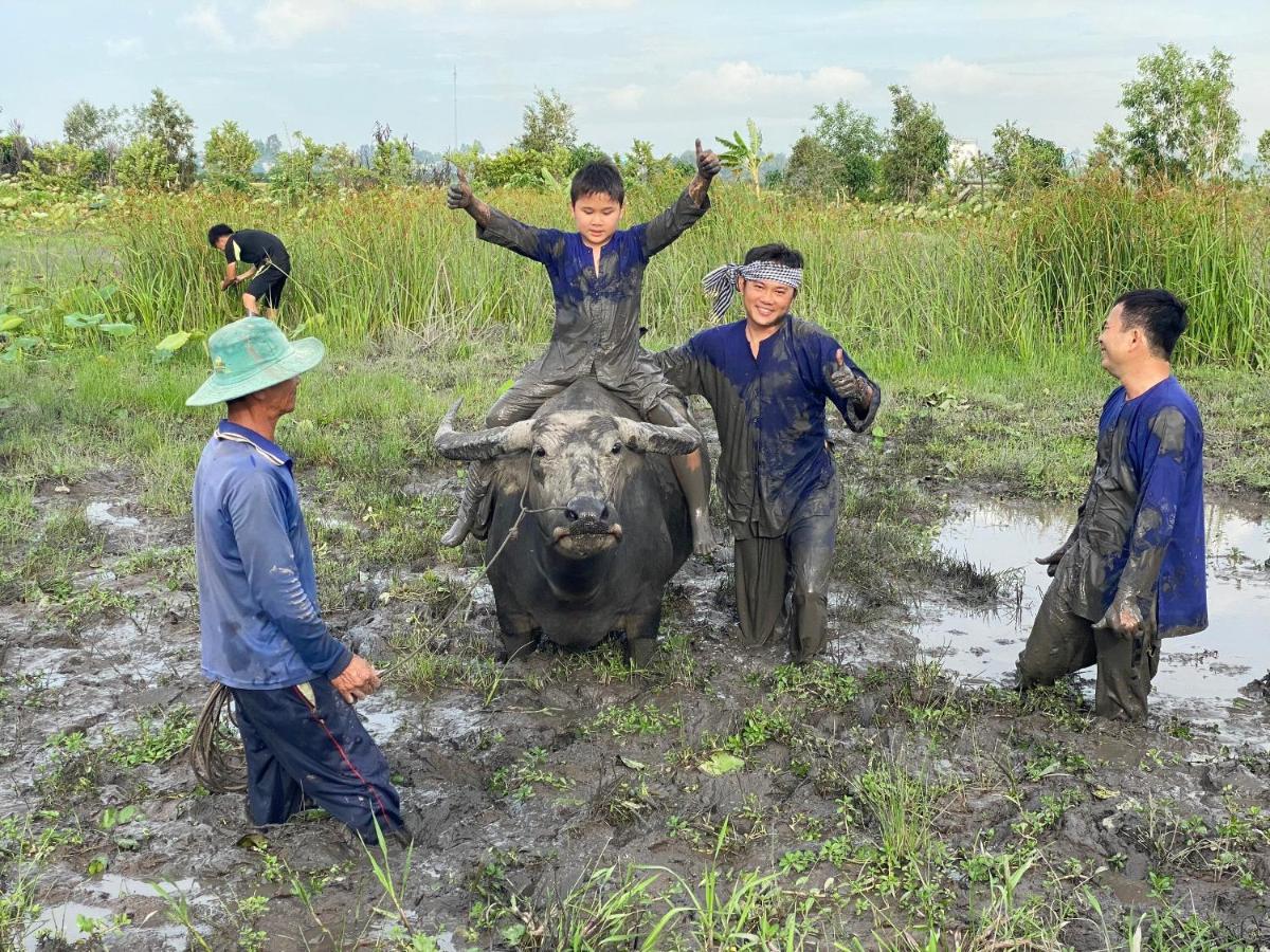Viet Mekong Farmstay Tram Chim Bagian luar foto