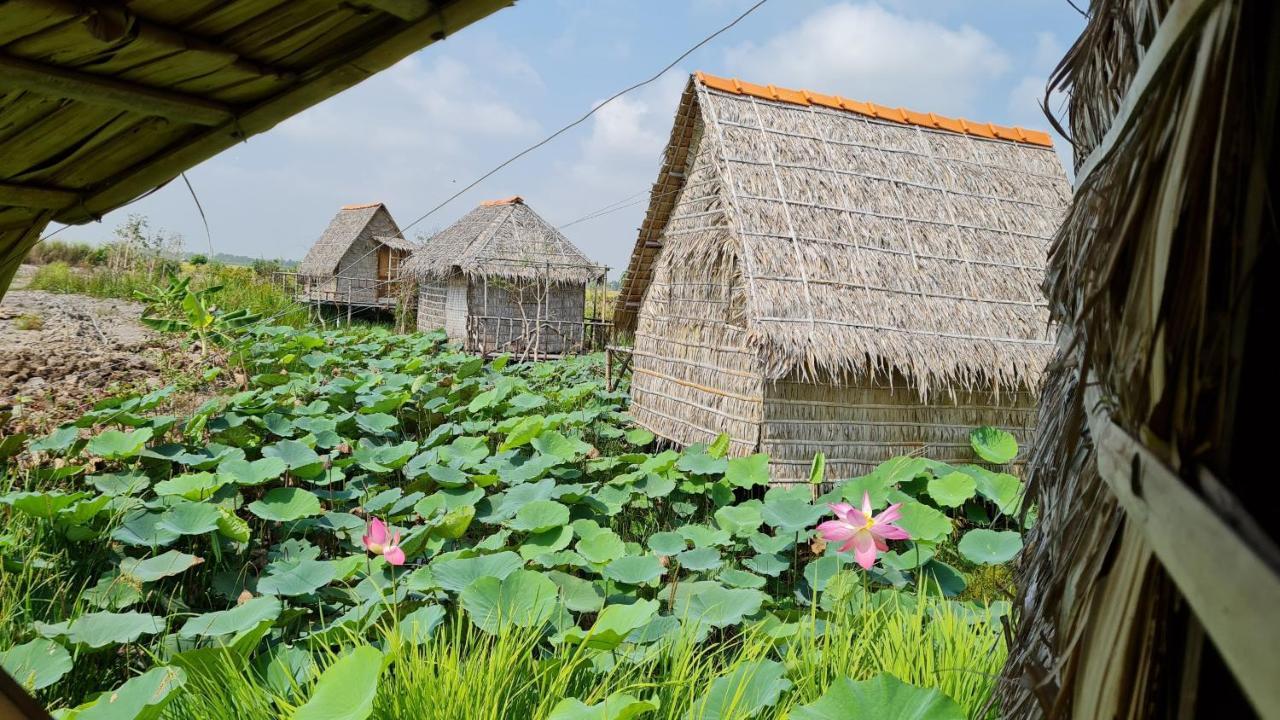 Viet Mekong Farmstay Tram Chim Bagian luar foto