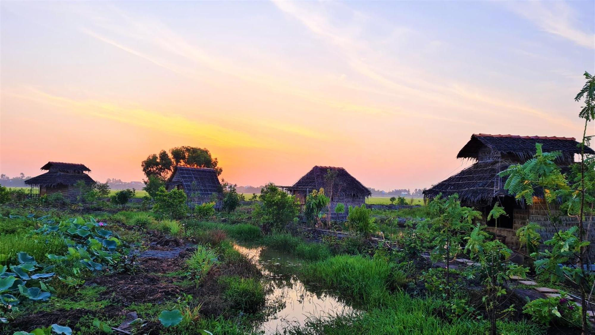 Viet Mekong Farmstay Tram Chim Bagian luar foto